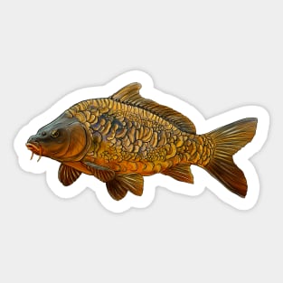 Carp Sticker